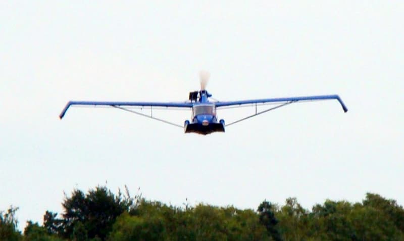 Avid Amphibian
