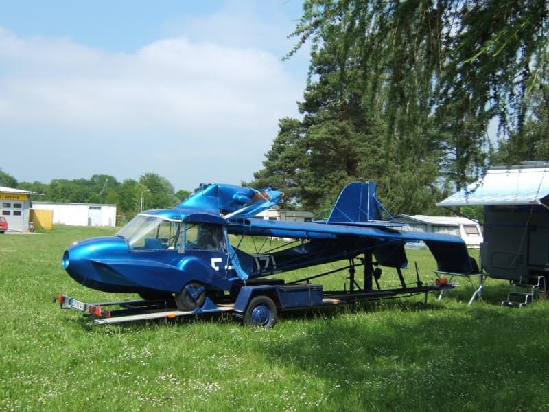 Avid Amphibian