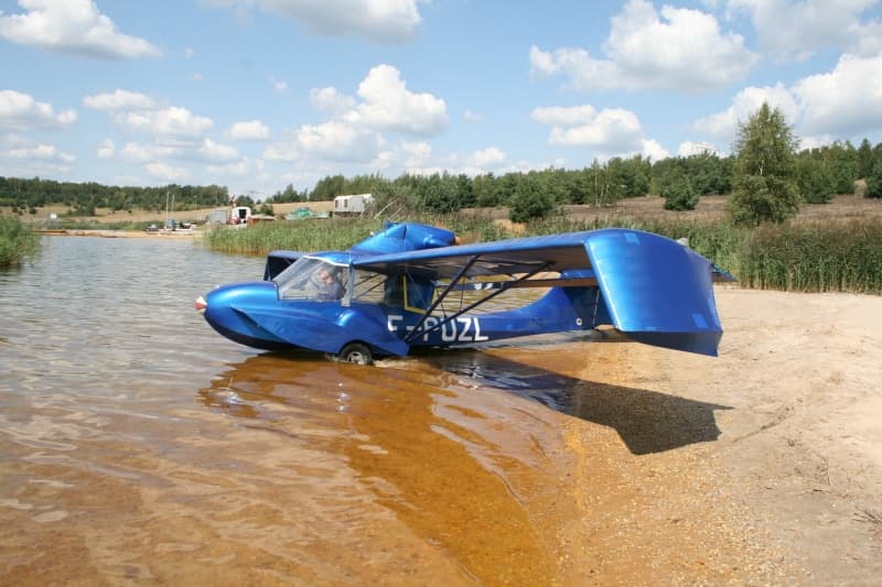 Avid Amphibian